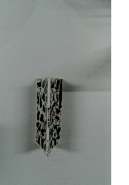 CATS OF MANY VARIETIES