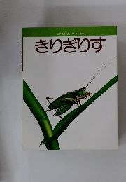 きりぎりす