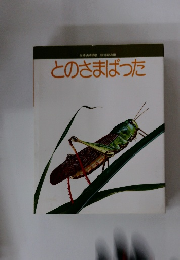 とのさまばった