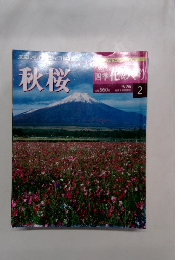 四季花めぐり　2　秋桜