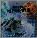 料理専門店  地下の貯蔵庫