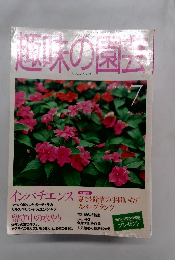 NHK趣味の園芸　1999年07月号