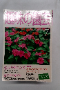 NHK趣味の園芸　1999年07月号