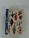 【送料込】カラー版 おいしい魚図鑑秋・冬
