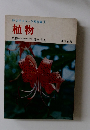 旺文社カラー学習図鑑1  植物