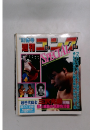 週刊ゴング SPECIAL1992年春の号