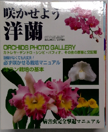 咲かせよう洋蘭　2002年12月27日号
