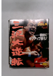 週刊プロレス　454号