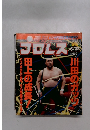 週刊プロレス　NO.499　6/23号