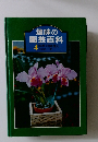 趣味の  園芸百科  4 四季の鉢植え