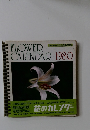 FLOWER CALENDAR 1980年号