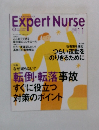 Expert Nurse 11