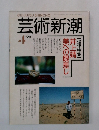 芸術新潮　1991年4月号