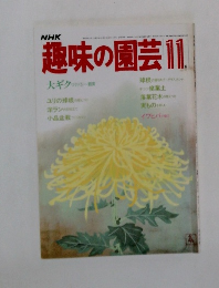 NHK趣味の園芸 11月号