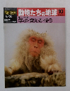 朝日百科　動物たちの地球　10