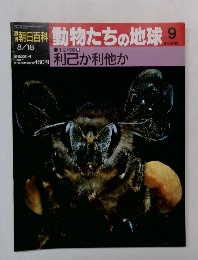 朝日百科 動物たちの地球 9