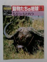 朝日百科　動物たちの地球　8　もちつもたれつ　