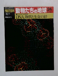 朝日百科　動物たちの地球　24　DNA、物質と生命の絆　
