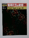 朝日百科　動物たちの地球　24　DNA、物質と生命の絆　