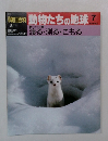 朝日百科　動物たちの地球　7