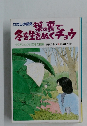 わたしの研究　葉の裏で冬を生きぬくチョウ