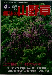 趣味の山野草　　4月号