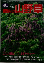 趣味の山野草　　4月号