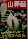 趣味の山野草　2003年4月号