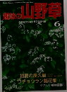 趣味の 山野草　6月号