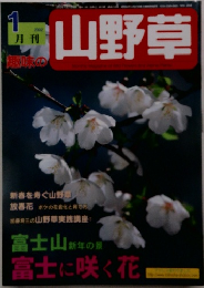 月刊山野草　2002年1月