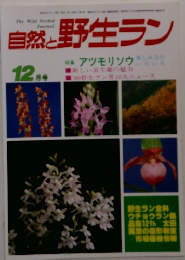 自然と野生ラン　1986年12月号