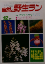 自然と野生ラン　1986年12月号