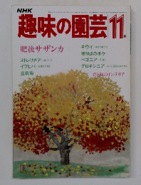 趣味の園芸　昭和５８年11月号