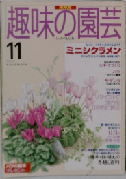 NHK趣味の園芸　1995年11月号