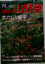 趣味の山野草　11月号