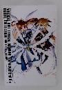 Magical girl lyrical nanoha the movie 2nd a's visual collection 