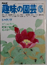 趣味の園芸 6  シャクナゲ