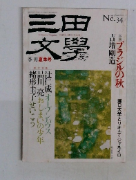 三田文學　No.34