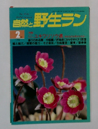 自然と野生ラン　１９９８　２