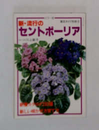 新・流行のセントポーリア