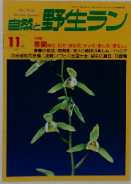 自然と野生ラン　1997年11月号