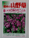 趣味の山野草　2000年4月号