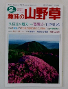 趣味の山野草　2月号