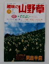 趣味の山野草　1999年1月号　Vol.222