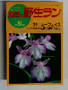 自然と野生ラン　1992年9月号