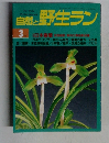 自然と野生ラン　１９９８年３月号