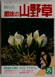 趣味の山野草 1989年5月号 No.106