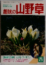趣味の山野草 1989年5月号 No.106