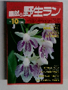 自然と野生ラン　1996年10月号