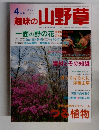 趣味の山野草　2001　4